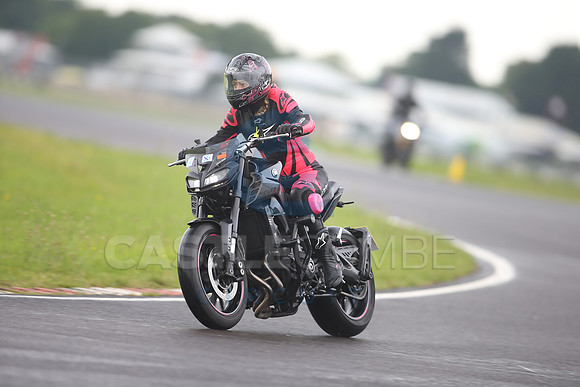 BIKES 0841