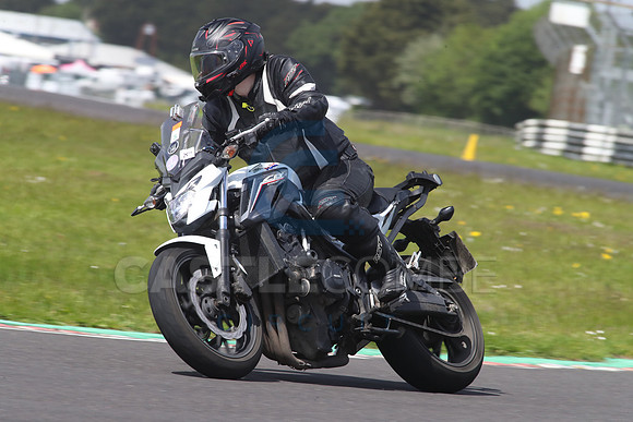 BIKES 1659