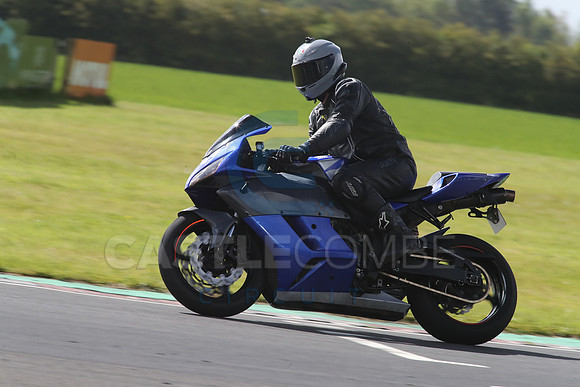 BIKES 1316