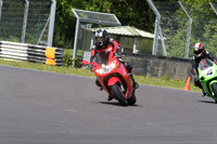 BIKES 1647