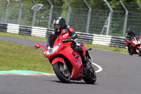 BIKES 1649
