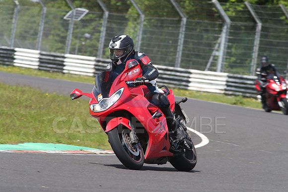 BIKES 1649
