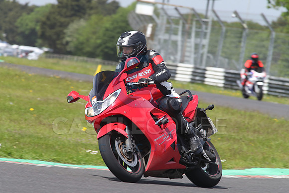 BIKES 1650