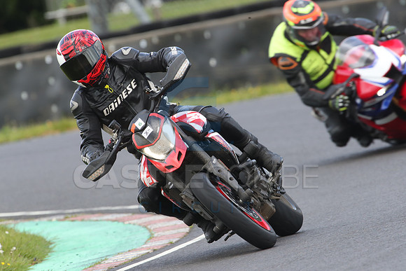 BIKES 0957