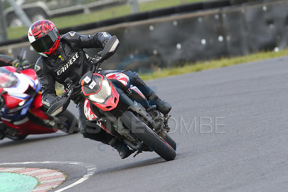 BIKES 0956