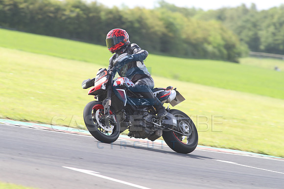 BIKES 1377