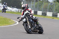 BIKES 1684