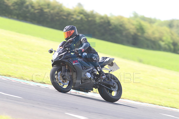 BIKES 1365