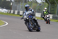 BIKES 1690
