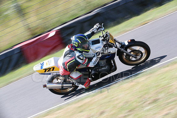 BIKES 0253