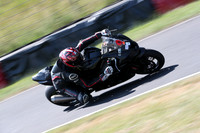 BIKES 0305