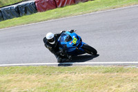 BIKES 0342