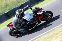 BIKES 0356