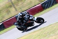 BIKES 0307