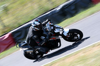BIKES 0308