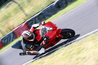 BIKES 0354
