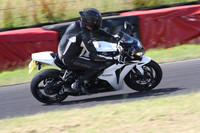 BIKES 1271