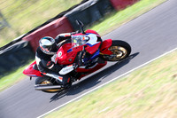 BIKES 0374