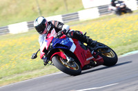 BIKES 0891