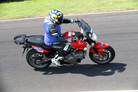 BIKES 0435