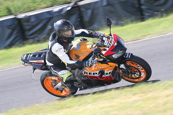 BIKES 1377