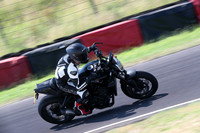 BIKES 0452