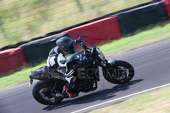 BIKES 0452