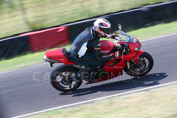 BIKES 0482