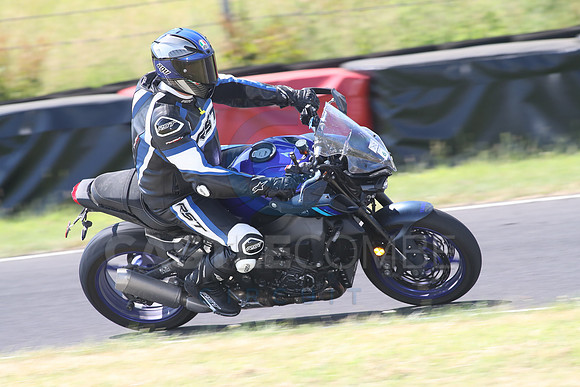 BIKES 1350