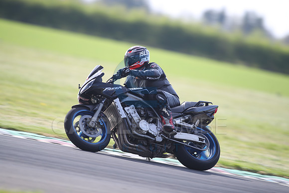 BIKES 1196