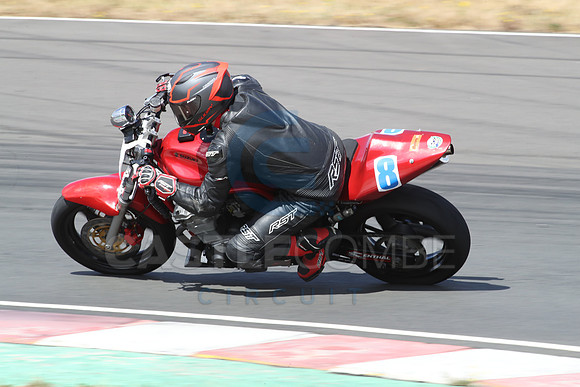 BIKES 1231