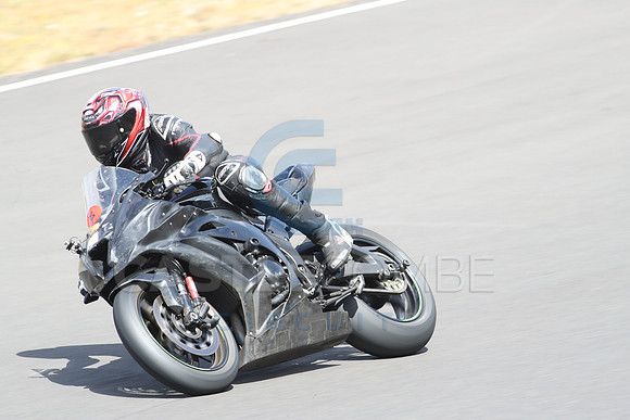 BIKES 1308