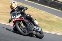 BIKES 0831