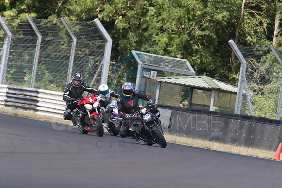 BIKES 1393