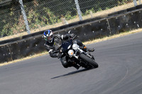 BIKES 0877