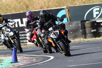 BIKES 0446