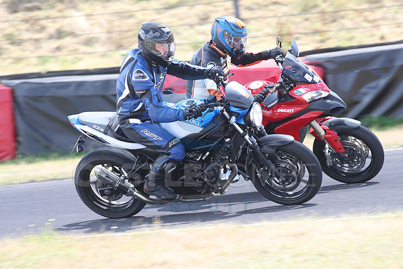 BIKES 1686