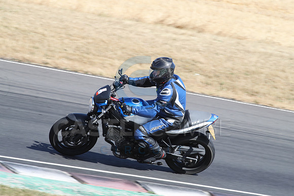 BIKES 2913