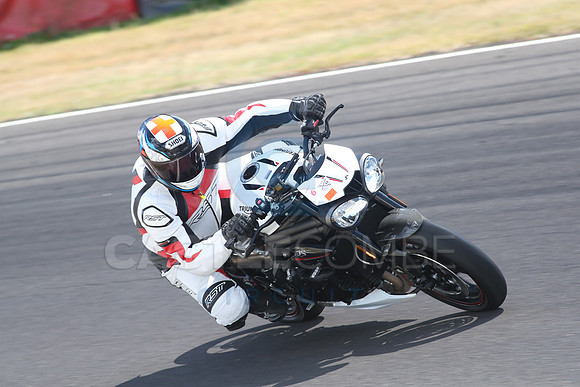 BIKES 1736