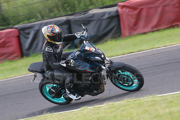 BIKES 1335