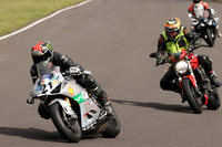 BIKES 1238