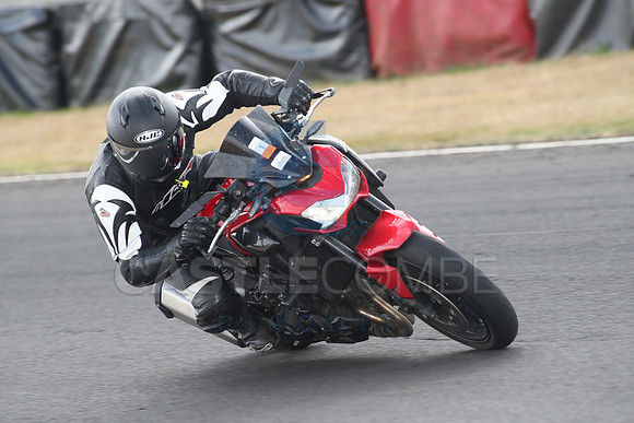 BIKES 1339