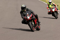 BIKES 1204