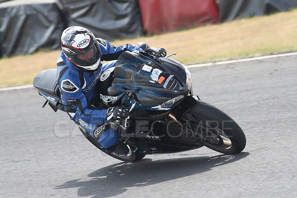 BIKES 1341