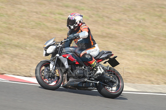 BIKES 1681