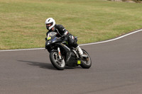 BIKES 1304