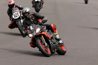 BIKES 1308