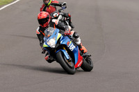 BIKES 1309