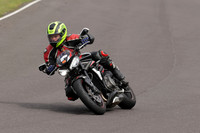 BIKES 1362