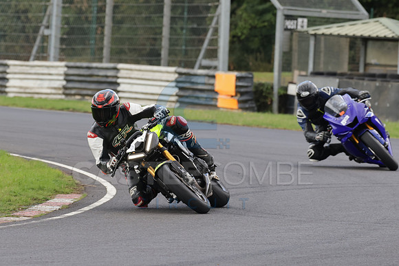 BIKES 0699